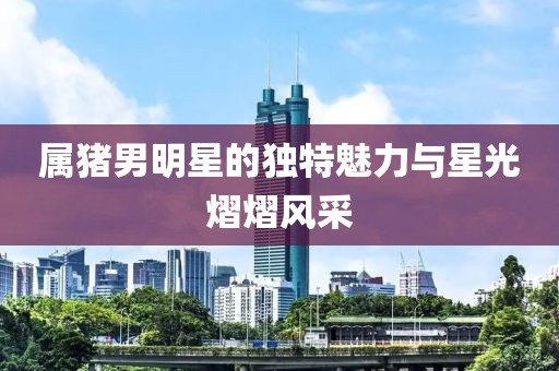 屬豬男明星的獨特魅力與星光熠熠風(fēng)采