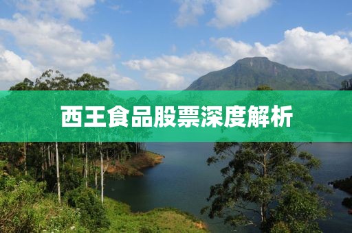 西王食品股票深度解析