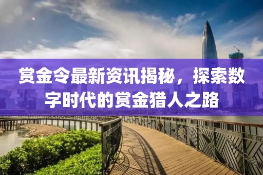 賞金令最新資訊揭秘，探索數(shù)字時(shí)代的賞金獵人之路