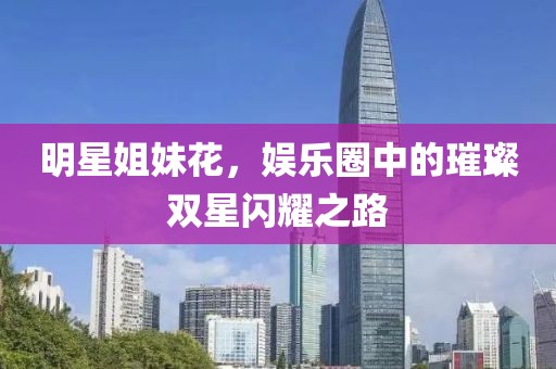 明星姐妹花，娛樂(lè)圈中的璀璨雙星閃耀之路