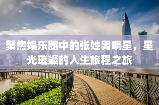 聚焦娛樂圈中的張姓男明星，星光璀璨的人生旅程之旅