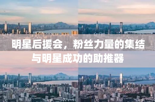 明星后援會，粉絲力量的集結與明星成功的助推器