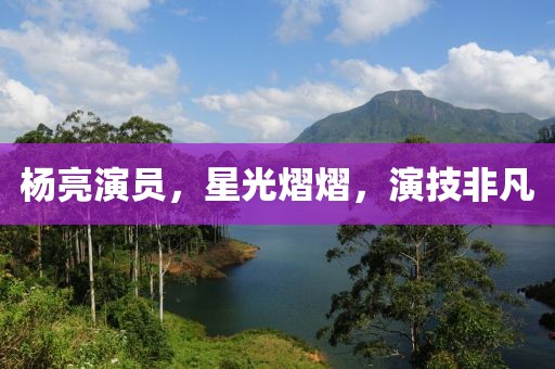 楊亮演員，星光熠熠，演技非凡
