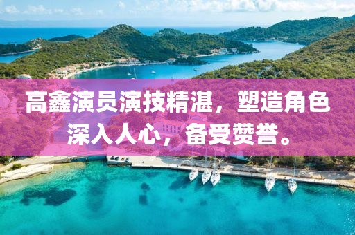 高鑫演員演技精湛，塑造角色深入人心，備受贊譽(yù)。