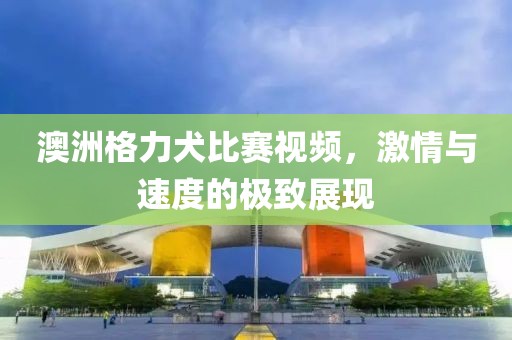 澳洲格力犬比賽視頻，激情與速度的極致展現(xiàn)