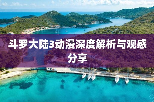 斗羅大陸3動漫深度解析與觀感分享