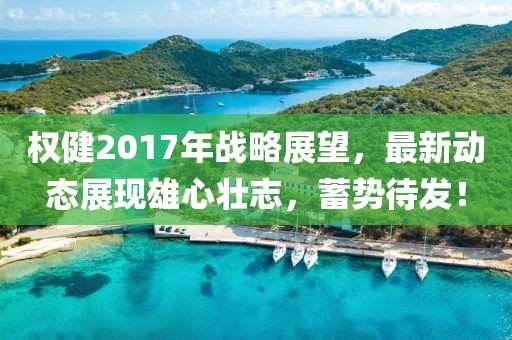 權(quán)健2017年戰(zhàn)略展望，最新動(dòng)態(tài)展現(xiàn)雄心壯志，蓄勢(shì)待發(fā)！