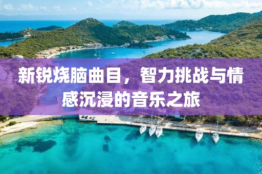 新銳燒腦曲目，智力挑戰(zhàn)與情感沉浸的音樂之旅