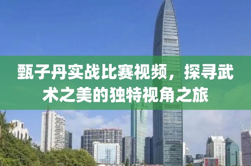 甄子丹實戰(zhàn)比賽視頻，探尋武術(shù)之美的獨特視角之旅