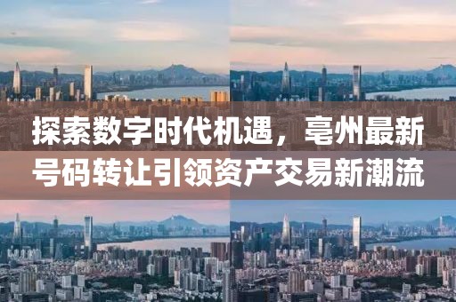 探索數(shù)字時代機遇，亳州最新號碼轉(zhuǎn)讓引領(lǐng)資產(chǎn)交易新潮流