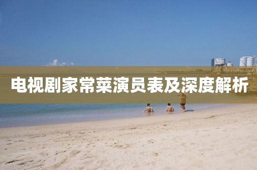 電視劇家常菜演員表及深度解析