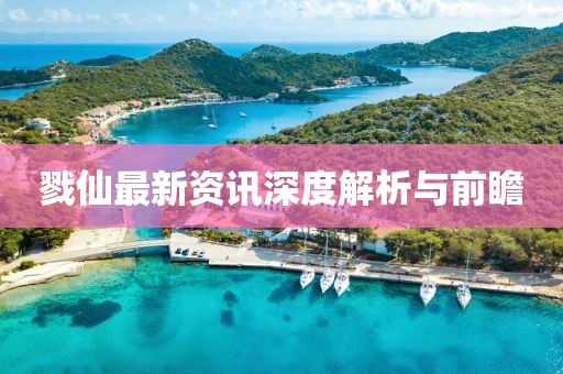 戮仙最新資訊深度解析與前瞻