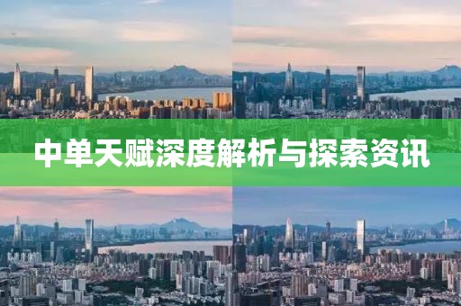 中單天賦深度解析與探索資訊