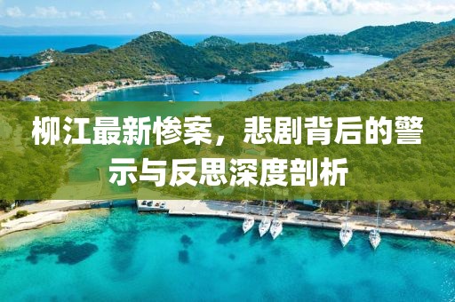 柳江最新慘案，悲劇背后的警示與反思深度剖析