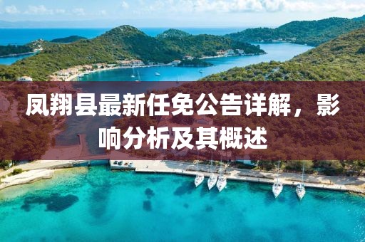 鳳翔縣最新任免公告詳解，影響分析及其概述