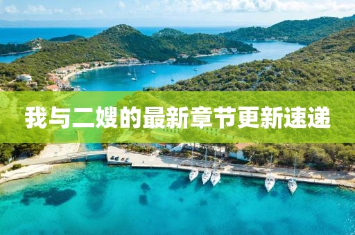 我與二嫂的最新章節(jié)更新速遞