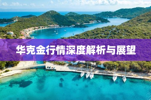 華克金行情深度解析與展望