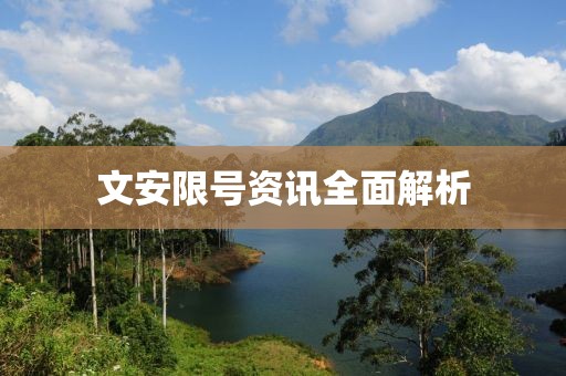 文安限號資訊全面解析