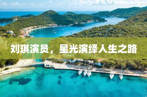 劉琪演員，星光演繹人生之路