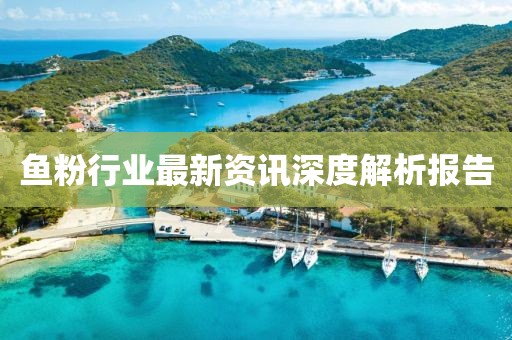魚粉行業(yè)最新資訊深度解析報告