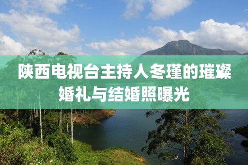 陜西電視臺主持人冬瑾的璀璨婚禮與結(jié)婚照曝光