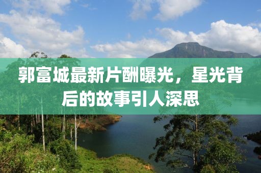郭富城最新片酬曝光，星光背后的故事引人深思
