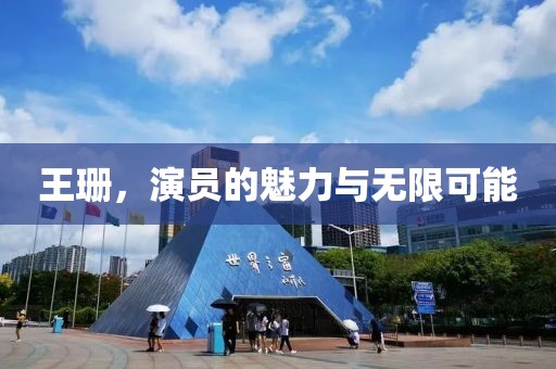 王珊，演員的魅力與無限可能