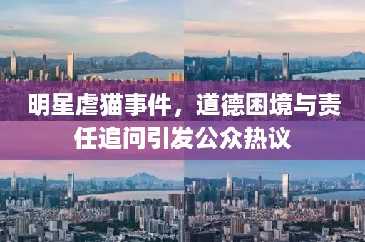 明星虐貓事件，道德困境與責任追問引發公眾熱議