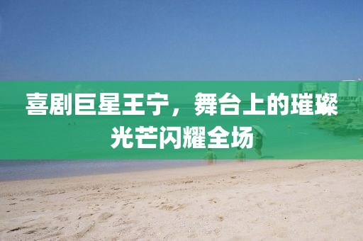 喜劇巨星王寧，舞臺上的璀璨光芒閃耀全場