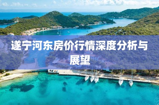 遂寧河?xùn)|房?jī)r(jià)行情深度分析與展望