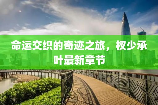 命運交織的奇跡之旅，杈少承葉最新章節