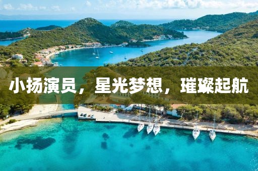 小揚(yáng)演員，星光夢想，璀璨起航