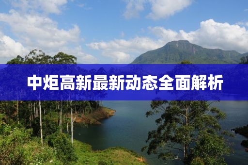 中炬高新最新動態全面解析