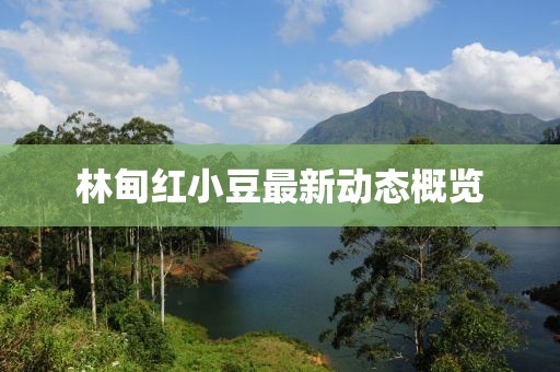 林甸紅小豆最新動態(tài)概覽