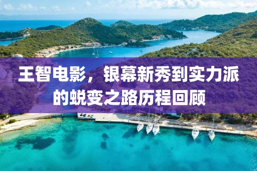 王智電影，銀幕新秀到實力派的蛻變之路歷程回顧