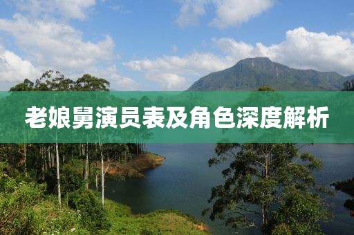 老娘舅演員表及角色深度解析