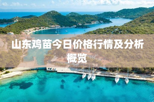 山東雞苗今日價(jià)格行情及分析概覽