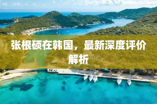 張根碩在韓國，最新深度評價解析