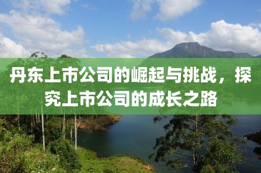 丹東上市公司的崛起與挑戰，探究上市公司的成長之路
