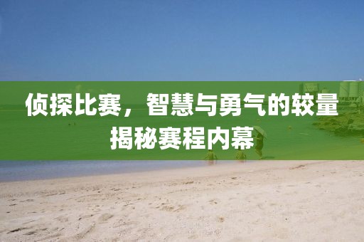偵探比賽，智慧與勇氣的較量揭秘賽程內(nèi)幕