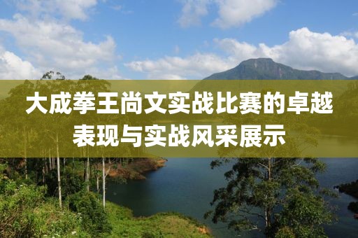 大成拳王尚文實戰比賽的卓越表現與實戰風采展示