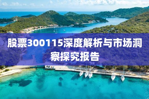 股票300115深度解析與市場洞察探究報告
