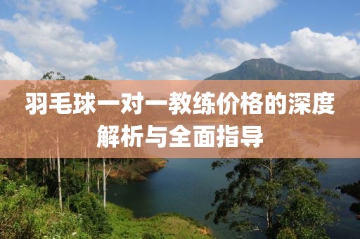 羽毛球一對一教練價格的深度解析與全面指導