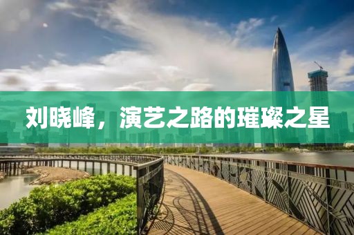 劉曉峰，演藝之路的璀璨之星