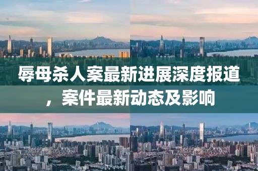 辱母殺人案最新進(jìn)展深度報(bào)道，案件最新動(dòng)態(tài)及影響