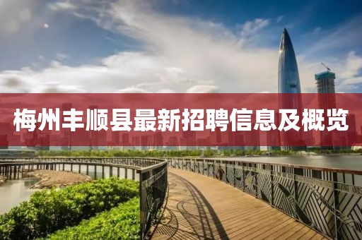 梅州豐順縣最新招聘信息及概覽