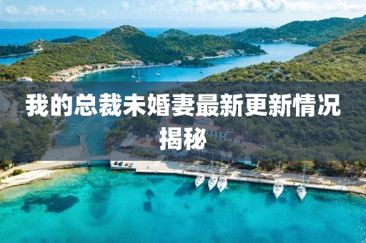 我的總裁未婚妻最新更新情況揭秘