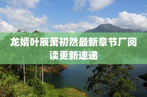 龍婿葉辰蕭初然最新章節(jié)廠閱讀更新速遞