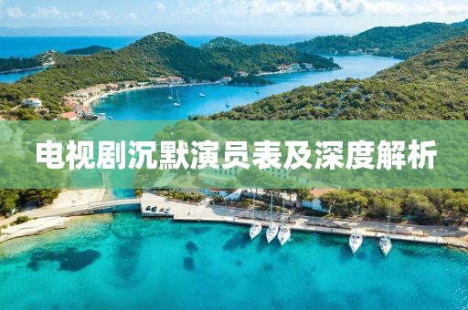 電視劇沉默演員表及深度解析