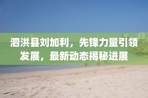 泗洪縣劉加利，先鋒力量引領發展，最新動態揭秘進展